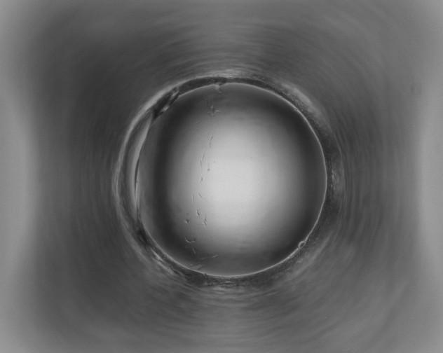 X0000110950532200906191252