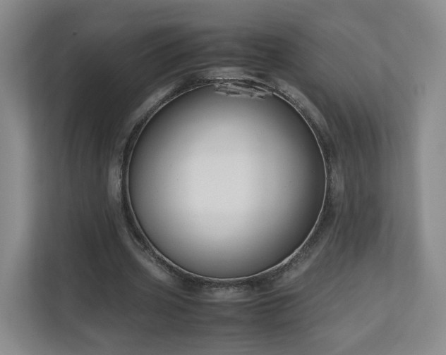 X0000110950533200906191252