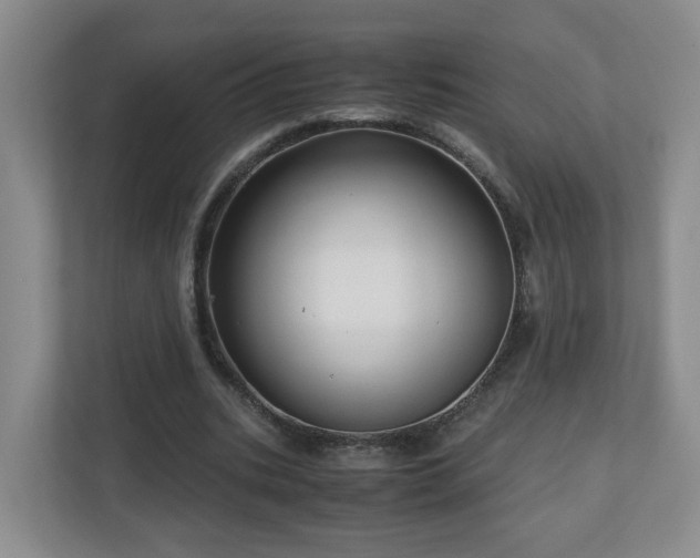X0000110950535200906191252