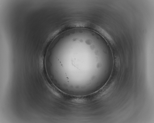 X0000110950537200906191252