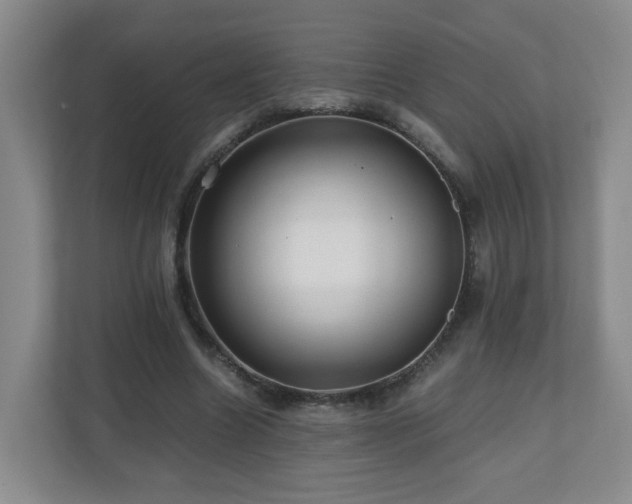 X0000110950538200906191252