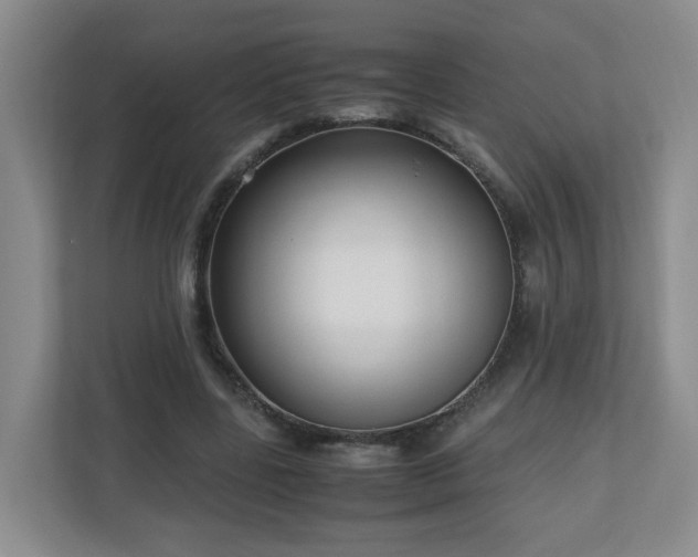 X0000110950539200906191252