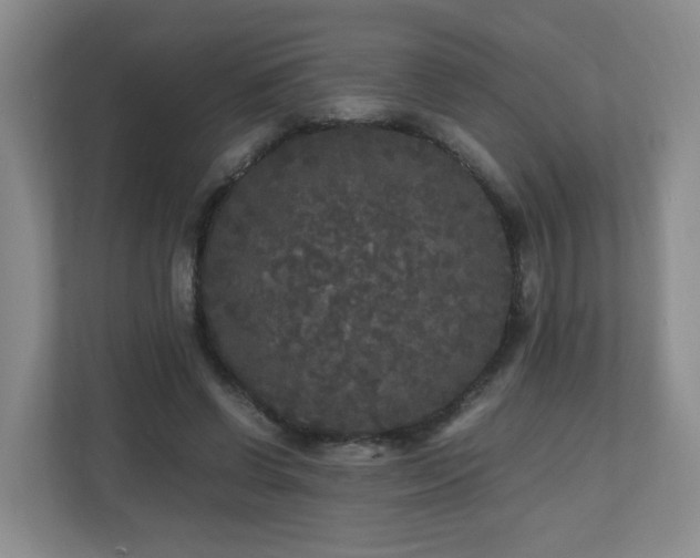 X0000110950542200906191252