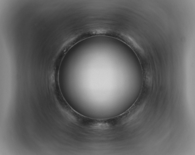 X0000110950543200906191252
