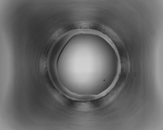 X0000110950548200906191253