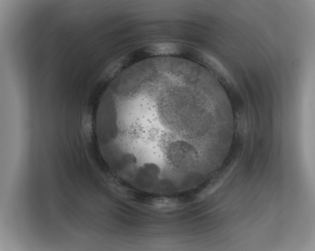 X0000110950549200906191253
