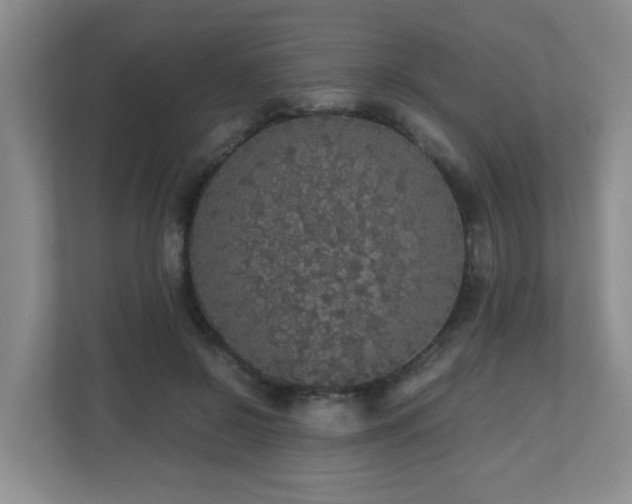 X0000110950550200906191253