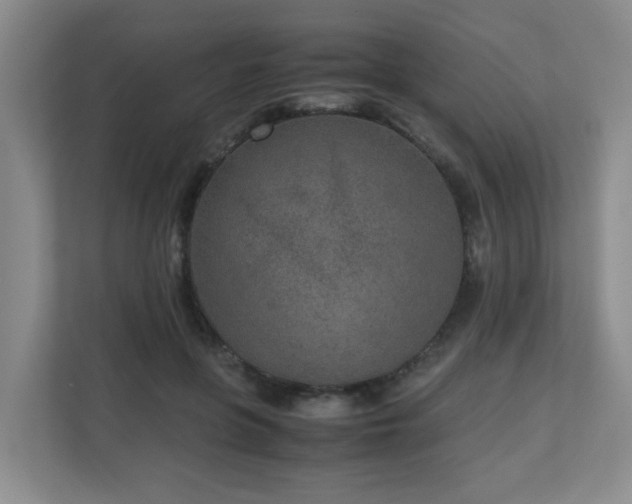 X0000110950551200906191253