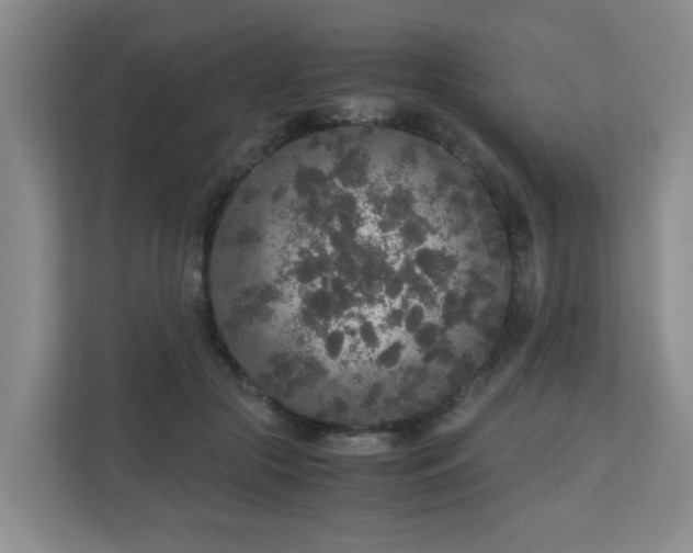 X0000110950553200906191253