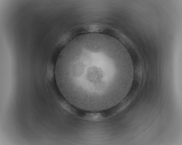 X0000110950554200906191253