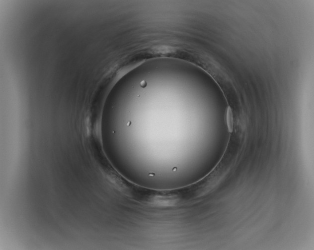 X0000110950556200906191253