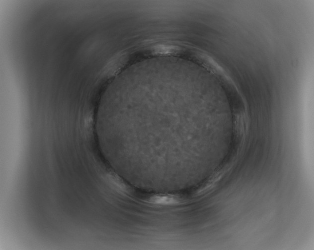 X0000110950557200906191253