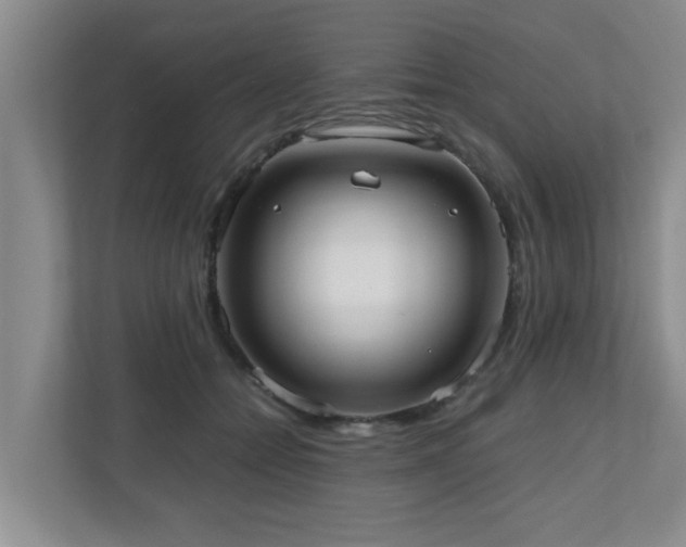 X0000110950558200906191253