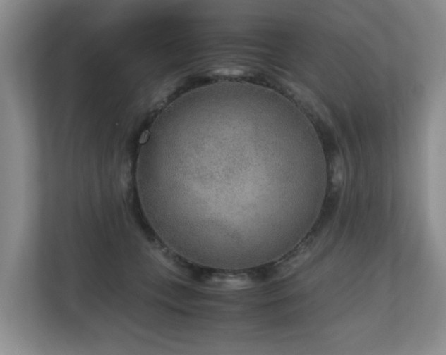 X0000110950559200906191253