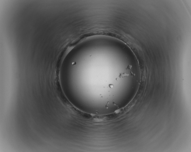 X0000110950560200906191253