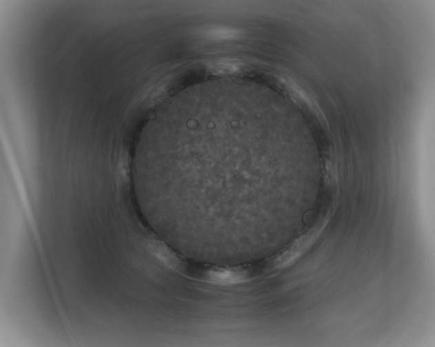 X0000110950561200906191253