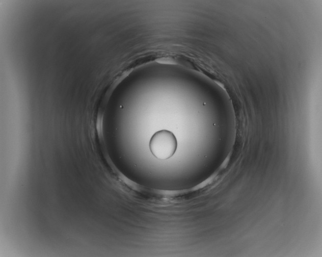 X0000110950562200906191253