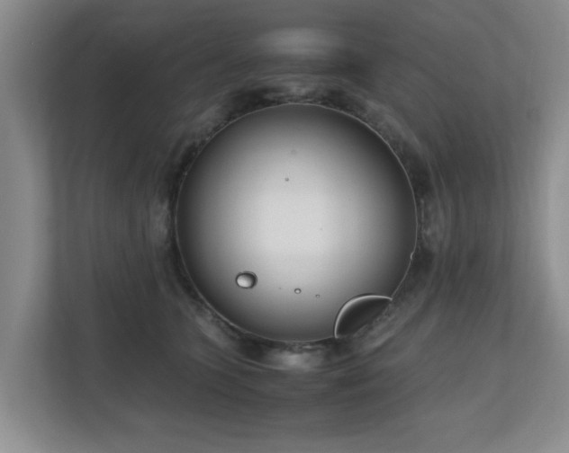 X0000110950563200906191253