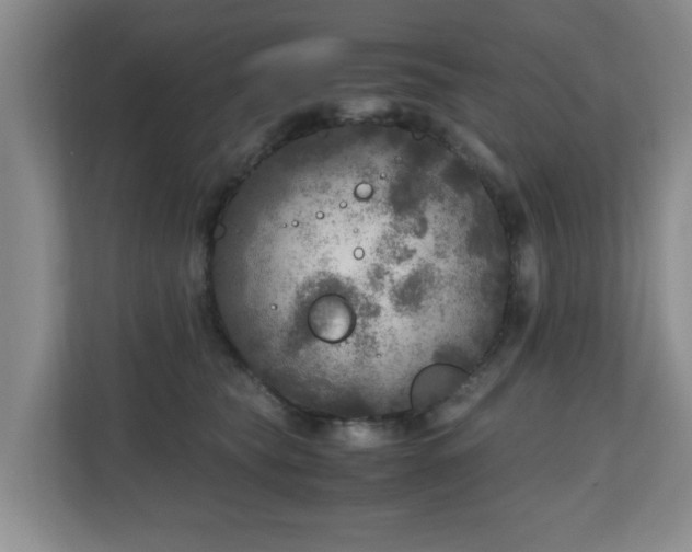 X0000110950565200906191253