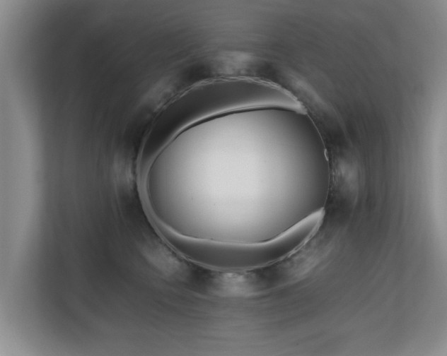 X0000110950566200906191253