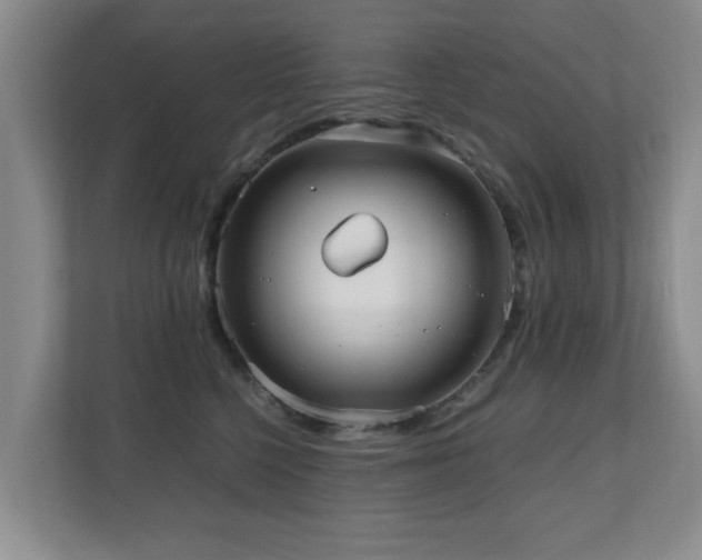 X0000110950568200906191253