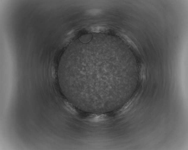 X0000110950569200906191253