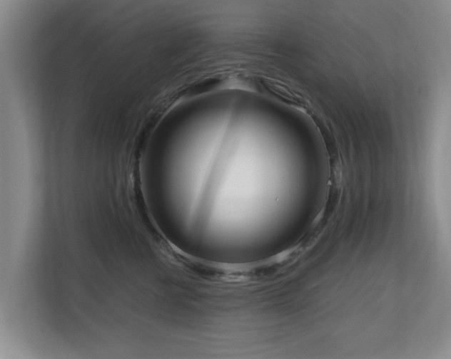 X0000110950570200906191253