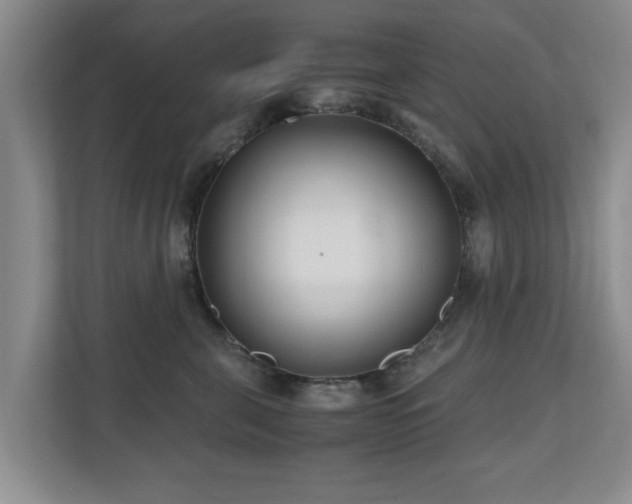X0000110950571200906191253