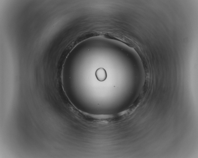 X0000110950572200906191253