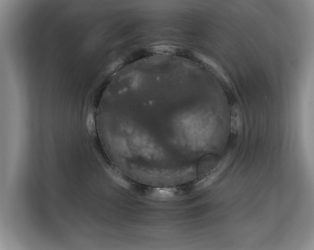 X0000110950573200906191253
