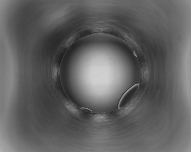 X0000110950574200906191253