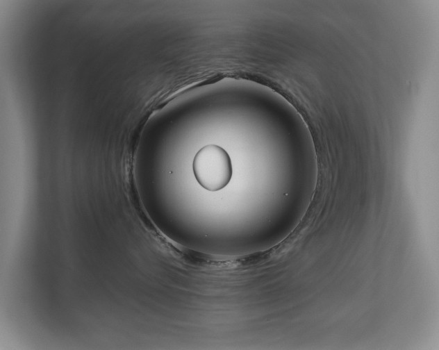 X0000110950576200906191253