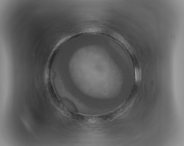 X0000110950579200906191252