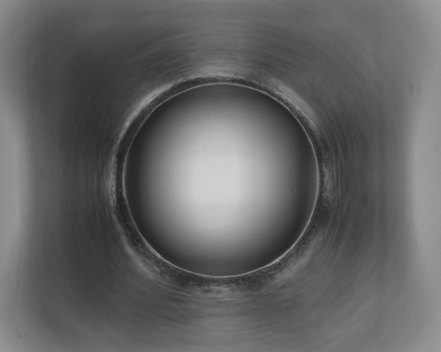 X0000110950580200906191252