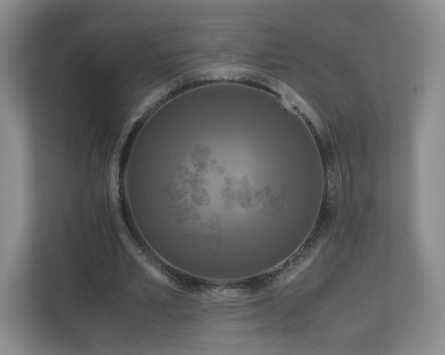 X0000110950581200906191252