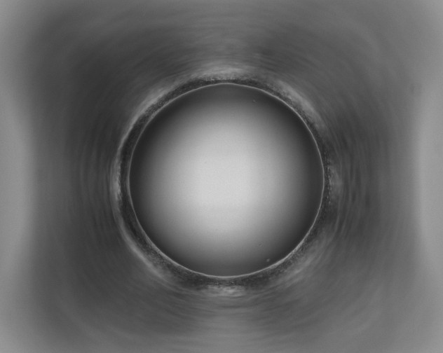 X0000110950582200906191252