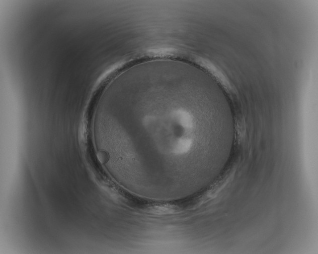 X0000110950583200906191252