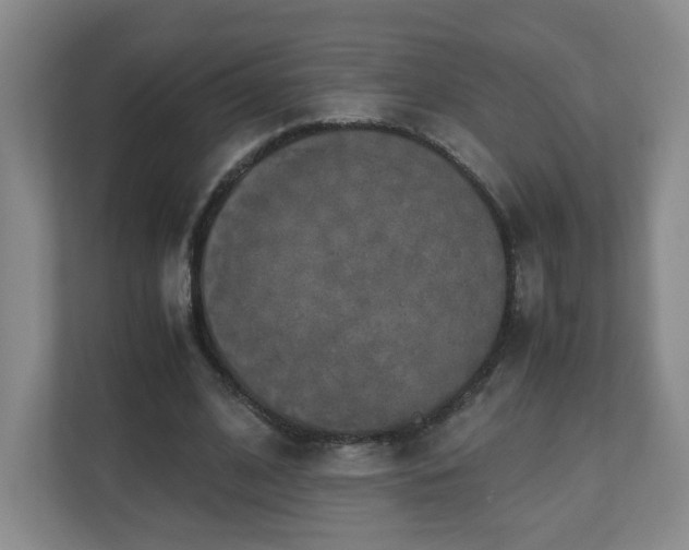 X0000110950584200906191252