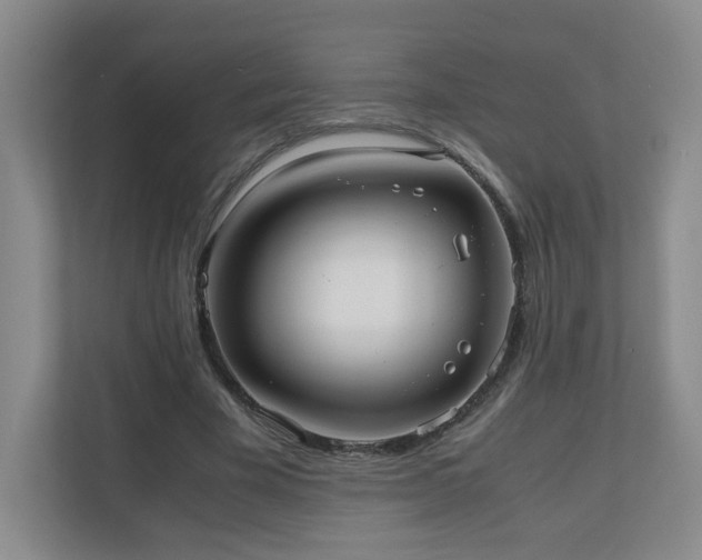 X0000110950585200906191252