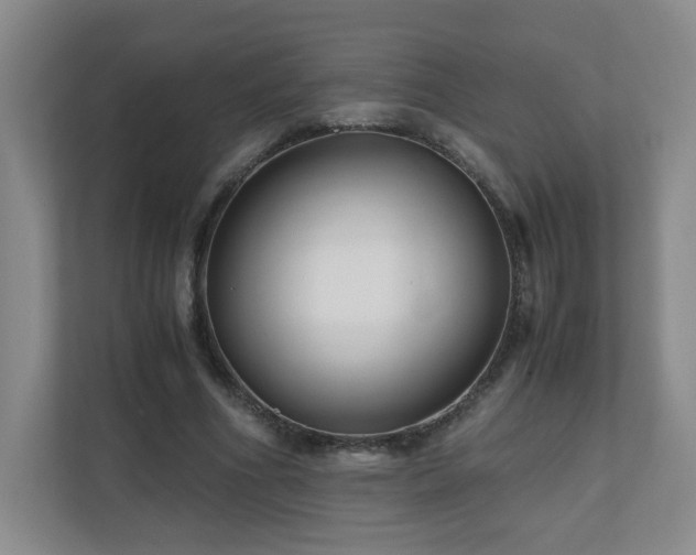 X0000110950586200906191252