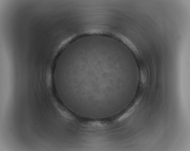 X0000110950588200906191252