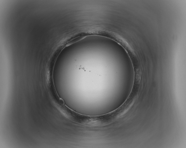 X0000110950589200906191252