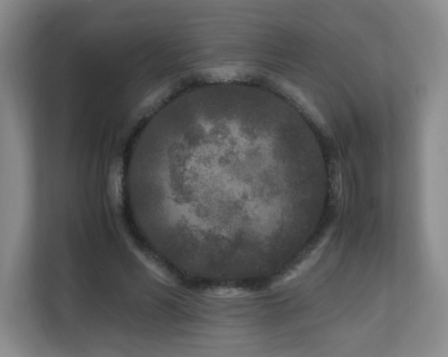 X0000110950590200906191252