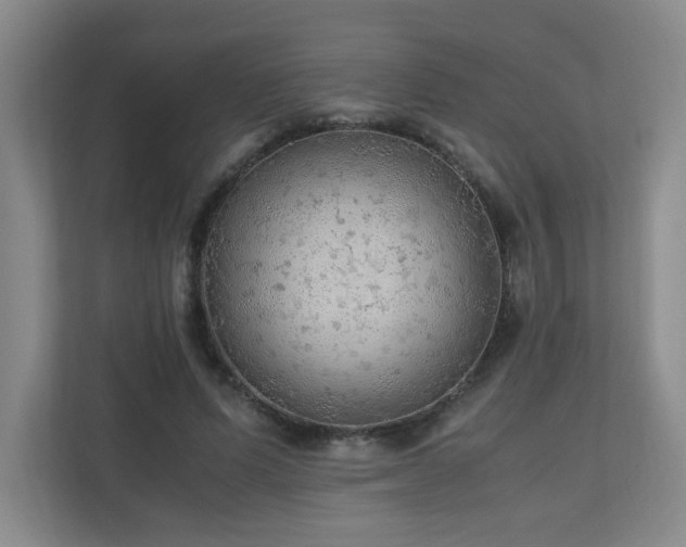 X0000110950591200906191252