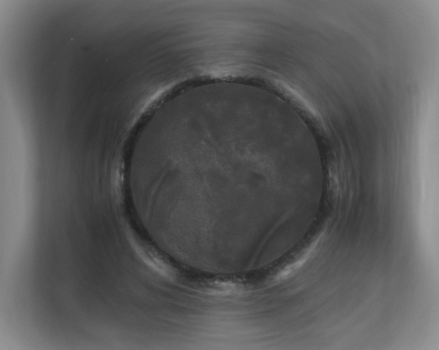 X0000110950592200906191252