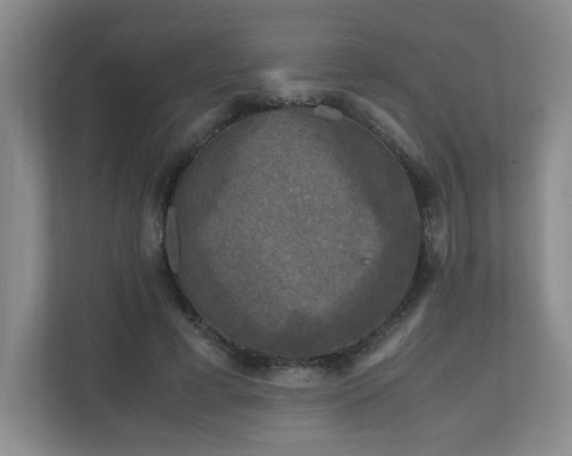 X0000110950593200906191252