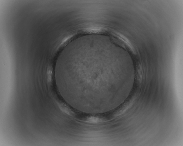 X0000110950596200906191252