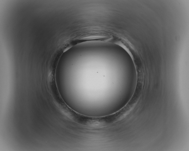 X0000110950597200906191252
