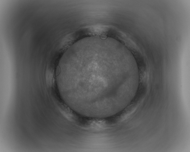 X0000110950599200906191252