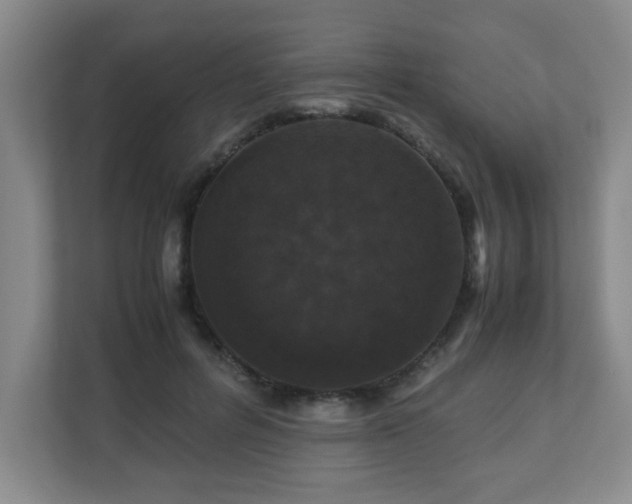 X0000110950600200906191252